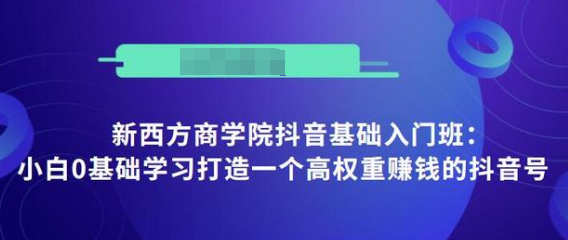 抖音基础入门班：小白0基础学习打造一个高权重赚钱的抖音号-闪越社