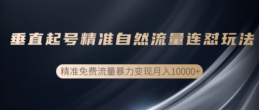 垂直起号精准自然流量连爆玩法，精准引流暴力变现月入10000+-闪越社