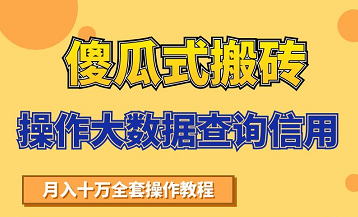 搬砖操作大数据查询信用项目赚钱教程，祝你快速月入6万-闪越社