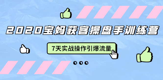 2020宝妈获客操盘手训练营：7天实战操作引爆 母婴、都市、购物宝妈流量-闪越社