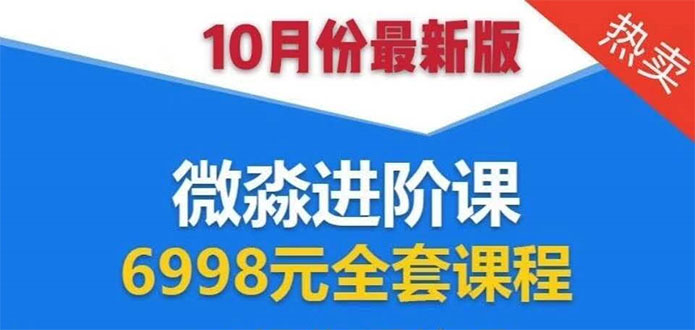 微淼理财进阶课全套视频：助你早点实现财务自由，理论学习+案例分析+实操-闪越社