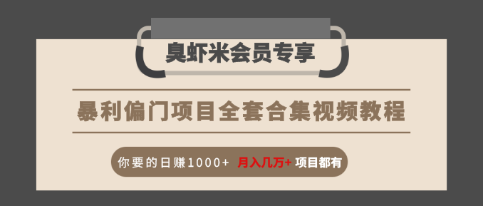 暴利偏门项目全套合集视频教程：你要的日赚1000+月入几万+项目都有-闪越社