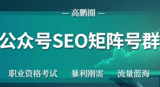 高鹏圈公众号SEO矩阵号群，实操20天纯收益25000+，普通人都能做-闪越社