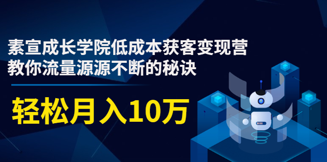 素宣成长学院低成本获客变现营，教你流量源源不断的秘诀，轻松月入10万-闪越社