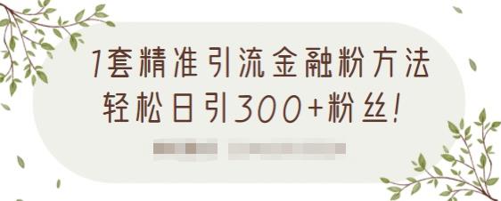 1套精准引流金融粉方法，轻松日引300+粉丝-闪越社