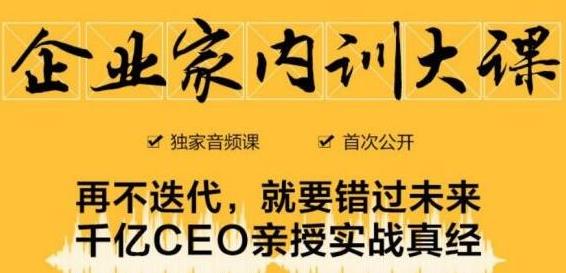 企业家内训大课，未来企业必学经验，价值1299元-闪越社