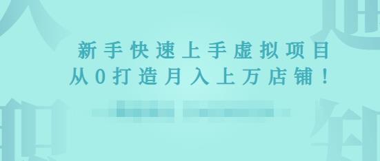 2022年虚拟项目实战指南，新手从0打造月入上万店铺-闪越社