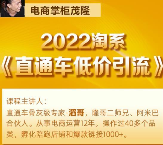 茂隆2022直通车低价引流玩法，教大家如何低投入高回报的直通车玩法-闪越社