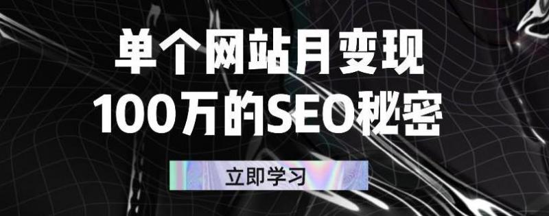 单个网站月变现100万的SEO秘密，百分百做出赚钱站点-闪越社