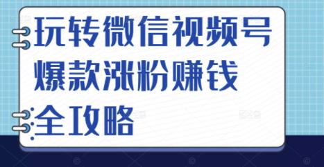 玩转微信视频号爆款涨粉赚钱全攻略，让你快速抓住流量风口，收获红利财富-闪越社