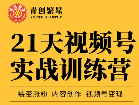 张萌21天视频号实战训练营，裂变涨粉、内容创作、视频号变现 价值298元-闪越社