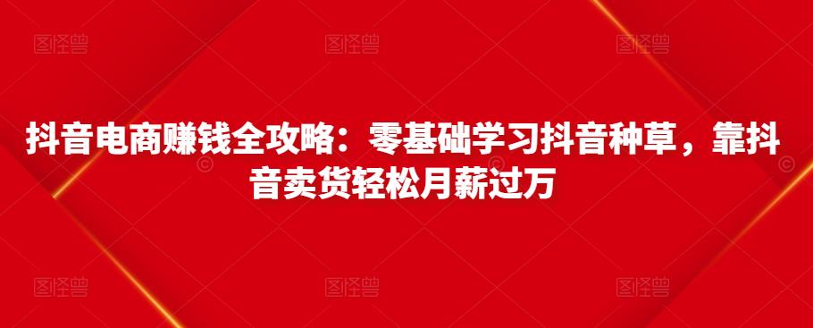 抖音电商赚钱全攻略：零基础学习抖音种草，靠抖音卖货轻松月薪过万-闪越社