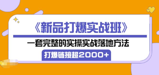 凌童《新品打爆实战班》,一套完整的实操实战落地方法，打爆链接超2000+（28节课)-闪越社