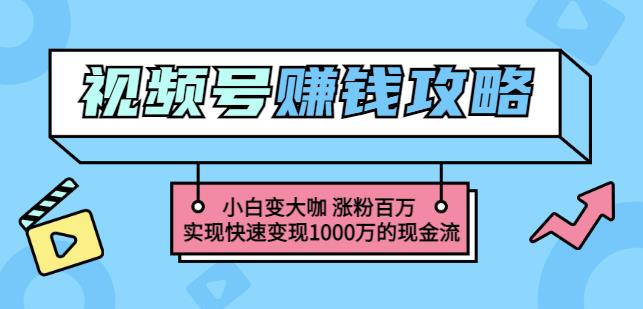 玩转微信视频号赚钱：小白变大咖涨粉百万实现快速变现1000万的现金流-闪越社