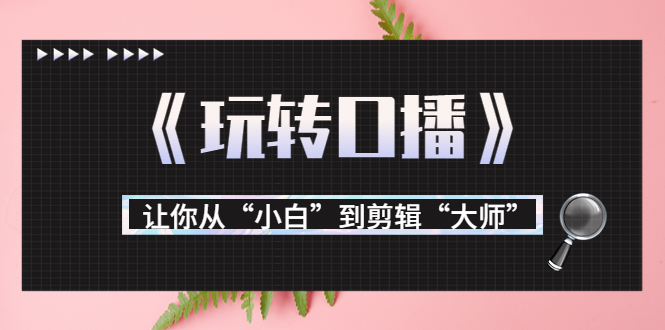 月营业额700万+大佬教您《玩转口播》让你从“小白”到剪辑“大师”-闪越社