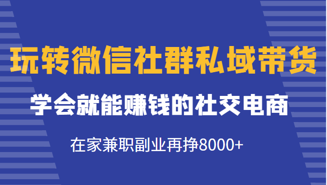 玩转微信社群私域带货，学会就能赚钱的社交电商，在家兼职副业再挣8000+-闪越社