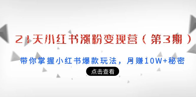 21天小红书涨粉变现营（第3期）：带你掌握小红书爆款玩法，月赚10W+秘密-闪越社