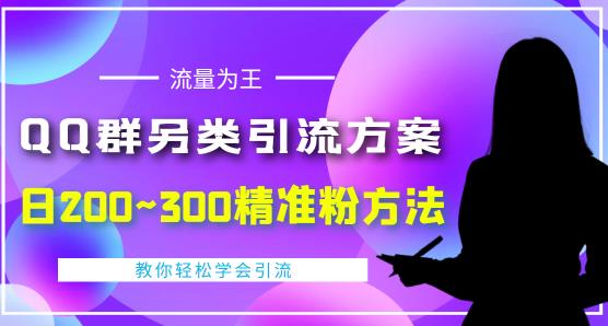 价值888的QQ群另类引流方案，半自动操作日200~300精准粉方法【视频教程】-闪越社