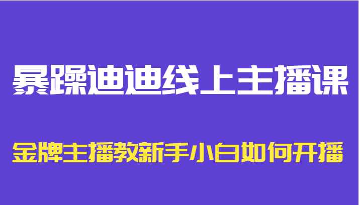 暴躁迪迪线上主播课，金牌主播教新手小白如何开播-闪越社