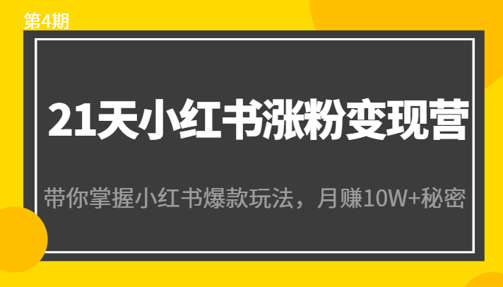 21天小红书涨粉变现营（第4期）：带你掌握小红书爆款玩法，月赚10W+秘密-闪越社