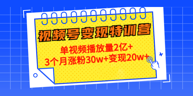 21天视频号变现特训营：单视频播放量2亿+3个月涨粉30w+变现20w+（第14期）-闪越社