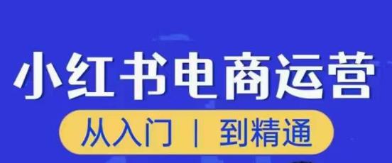 顽石小红书电商高阶运营课程，从入门到精通，玩法流程持续更新-闪越社