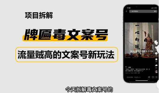 2023抖音快手毒文案新玩法，牌匾文案号，起号快易变现-闪越社