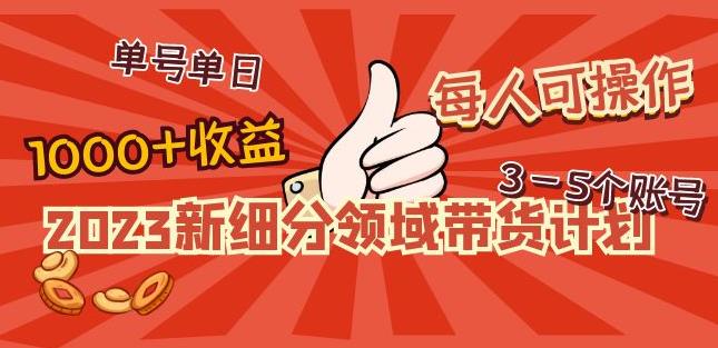 2023新细分领域带货计划：单号单日1000+收益不难，每人可操作3-5个账号-闪越社