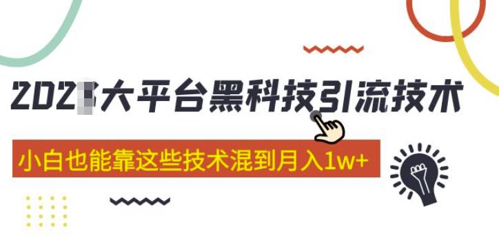 大平台黑科技引流技术，小白也能靠这些技术混到月入1w+(2022年的课程）-闪越社