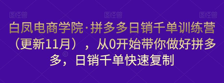 白凤电商学院·拼多多日销千单训练营，从0开始带你做好拼多多，日销千单快速复制（更新知2023年3月）-闪越社