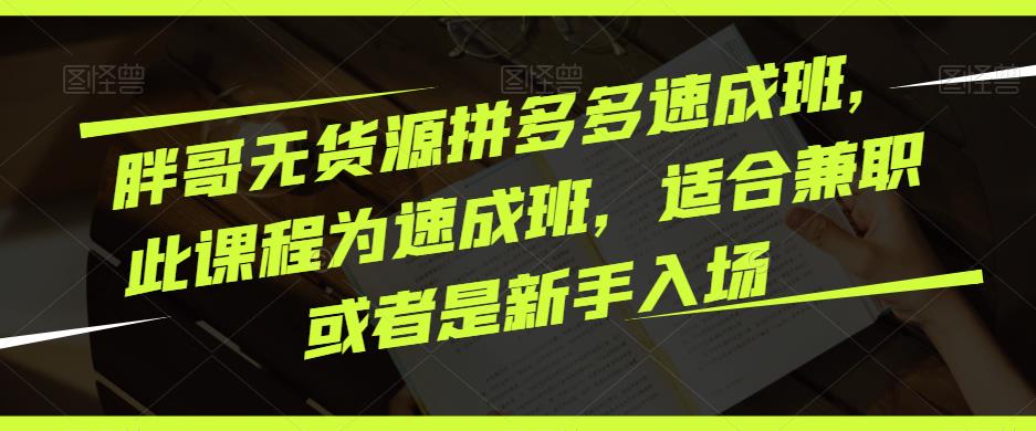 胖哥无货源拼多多速成班，此课程为速成班，适合兼职或者是新手入场-闪越社