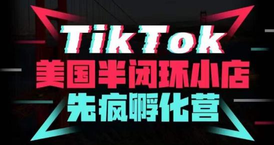 疯人院·TikTok美国半闭环小店孵化营，抢占TikTok美国蓝海市场，开店、运营、带货、投流全实操-闪越社