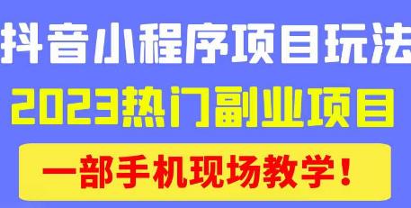 抖音小程序9.0新技巧，2023热门副业项目，动动手指轻松变现-闪越社