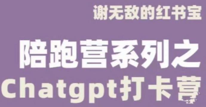 谢无敌ChatGPT打卡营，教你更好地使用ChatGPT来提高工作效率-闪越社