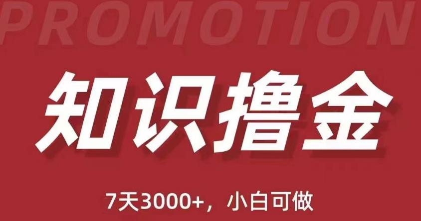 抖音知识撸金项目：简单粗暴日入1000+执行力强当天见收益(教程+资料)-闪越社