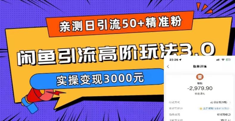 亲测日引50+精准粉，闲鱼引流高阶玩法3.0，实操变现3000元【揭秘】-闪越社