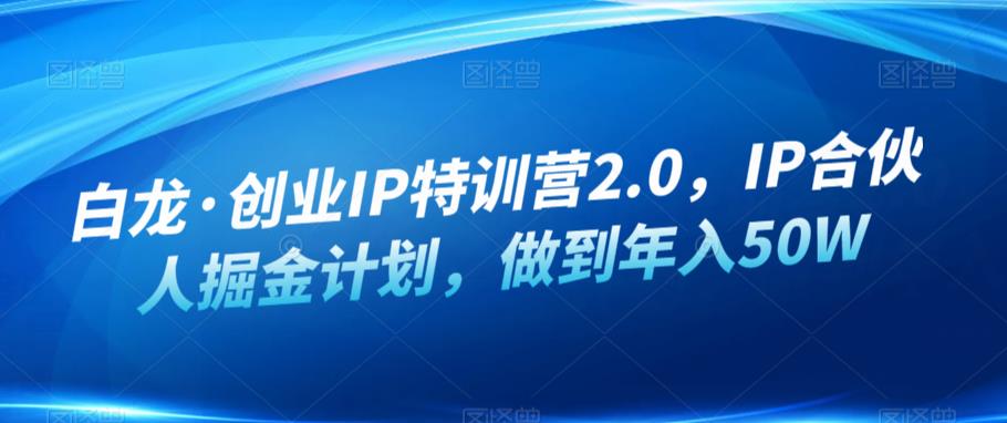 白龙·创业IP特训营2.0，IP合伙人掘金计划，做到年入50W-闪越社