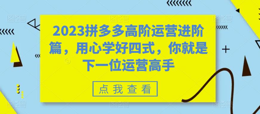 2023拼多多高阶运营进阶篇，用心学好四式，你就是下一位运营高手-闪越社