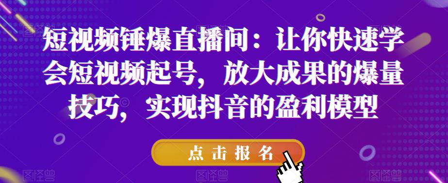 短视频锤爆直播间：让你快速学会短视频起号，放大成果的爆量技巧，实现抖音的盈利模型-闪越社