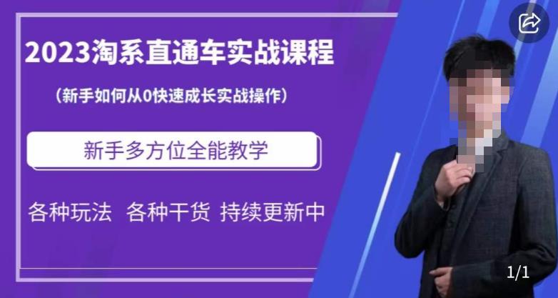 2023淘系直通车保姆式运营讲解，新手如何从0快速成长实战操作，新手多方位全能教学-闪越社