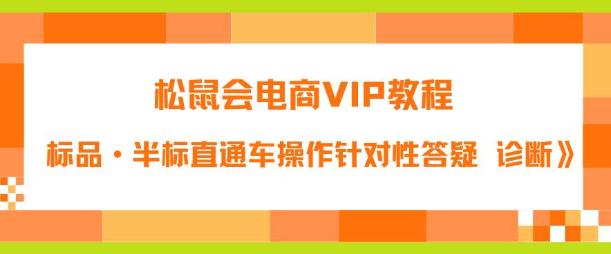 松鼠会电商VIP教程：松鼠《付费推广标品·半标直通车操作针对性答疑&诊断》-闪越社