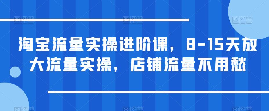 淘宝流量实操进阶课，8-15天放大流量实操，店铺流量不用愁-闪越社