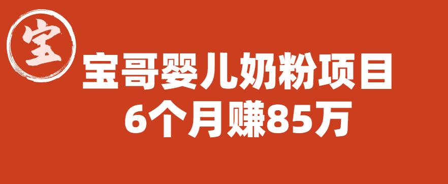 宝哥婴儿奶粉项目，6个月赚85w【图文非视频】【揭秘】-闪越社