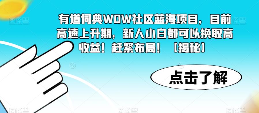 有道词典WOW社区蓝海项目，目前高速上升期，新人小白都可以换取高收益！赶紧布局！【揭秘】-闪越社