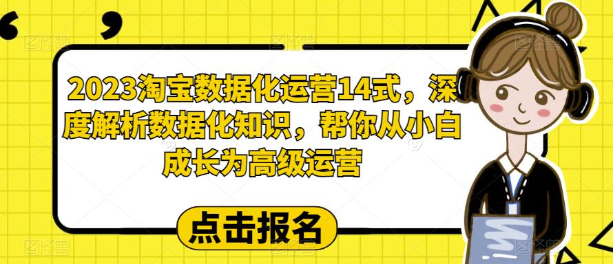 2023淘宝数据化运营14式，深度解析数据化知识，帮你从小白成长为高级运营-闪越社