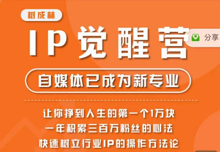 树成林·IP觉醒营，快速树立行业IP的操作方法论，让你赚到人生的第一个1万块（更新）-闪越社