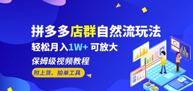 拼多多店群自然流玩法，轻松月入1W+保姆级视频教程（附上货、拍单工具）-闪越社