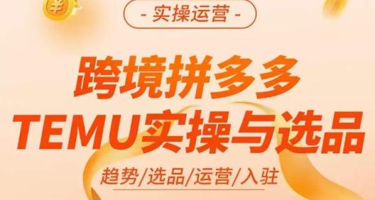 伍跃·跨境拼多多TEMU实操与选品，​趋势/选品/运营/入住（27节完整）-闪越社