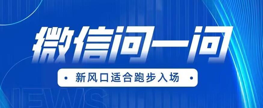 全网首发微信问一问新风口变现项目（价值1999元）【揭秘】-闪越社