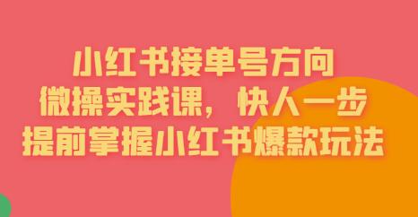 接单号方向·小红书微操实践课，快人一步，提前掌握小红书爆款玩法-闪越社